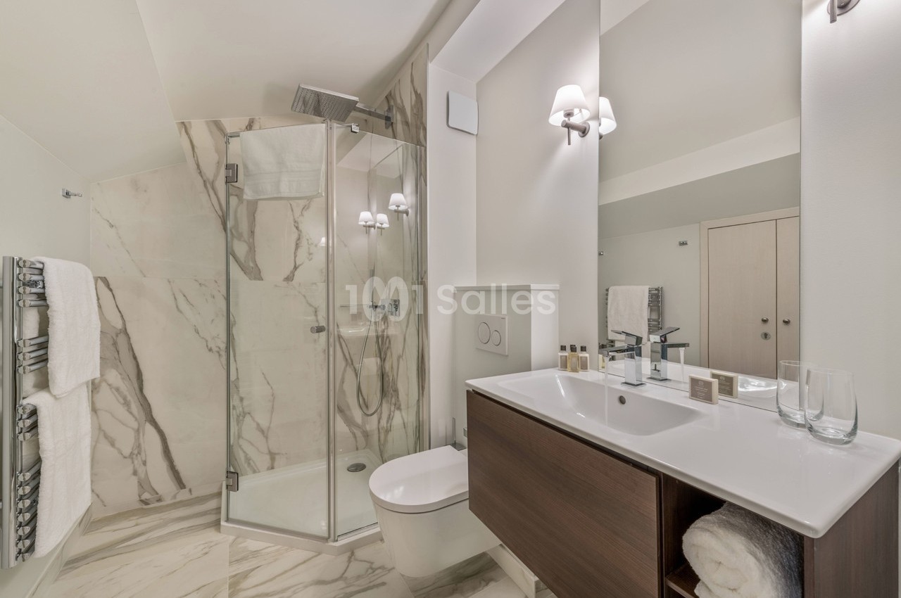 Les Suites de l'Ile Barbe - galerie - photo 11