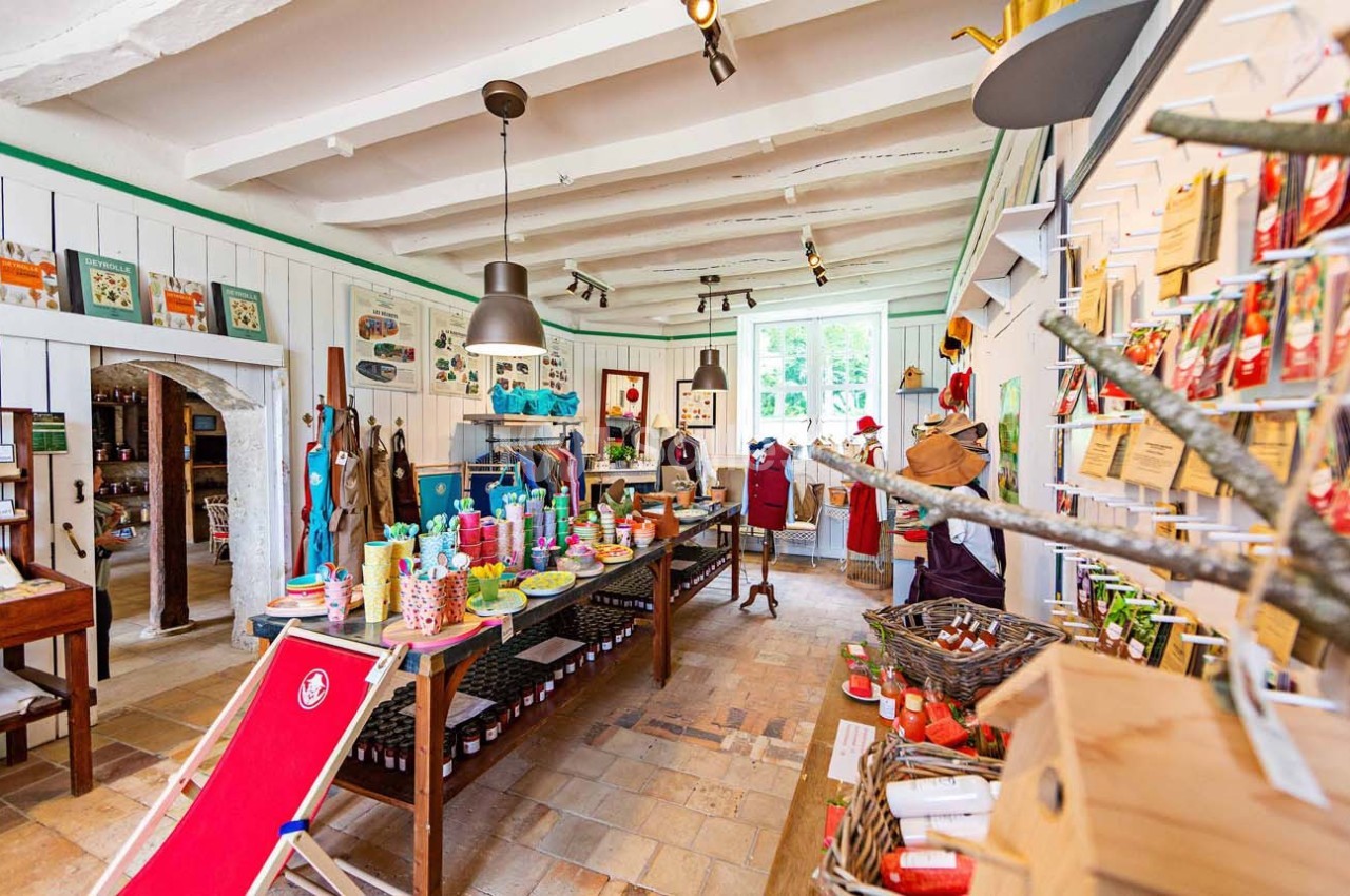 Boutique lumineuse avec produits artisanaux, étagères remplies, mobilier en bois et décoration colorée.