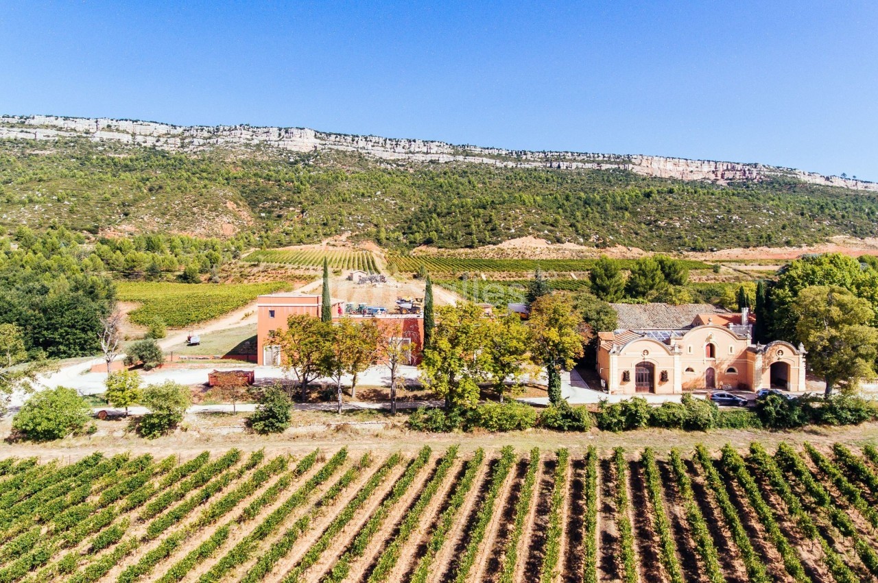Vue aérienne d'un domaine viticole entouré de vignes, avec des bâtiments en pierre et une colline en arrière-plan.