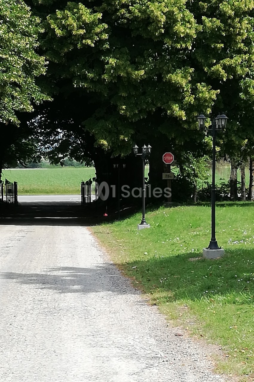 Chemin de gravier bordé de lampadaires menant à une allée d'arbres formant un passage ombragé.