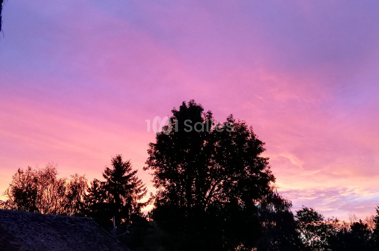 Ciel aux teintes roses et violettes au coucher du soleil, avec des silhouettes d'arbres et de toits au premier plan.