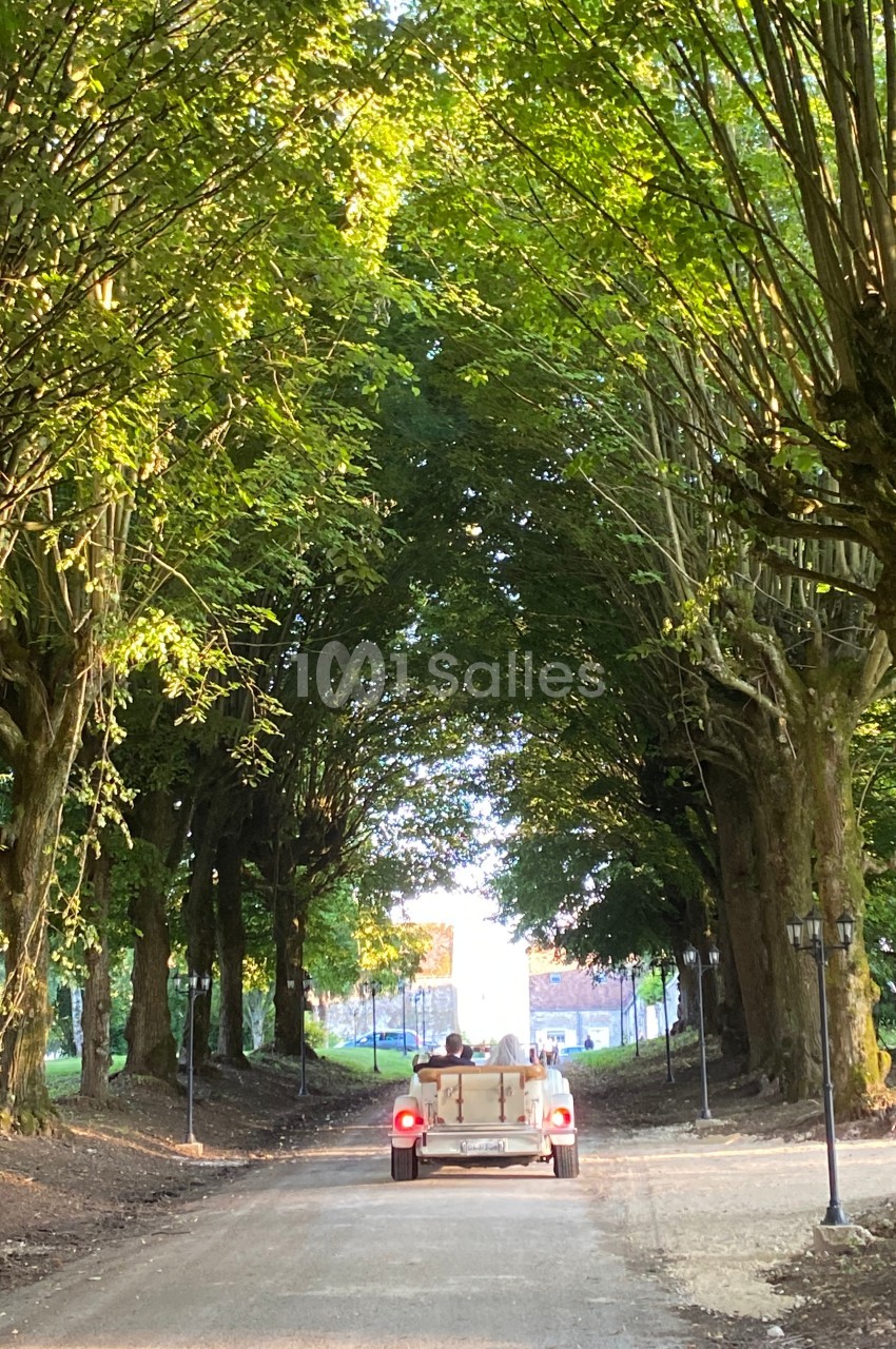 Une voiture ancienne roule sur une allée bordée d'arbres sous une lumière de fin de journée.
