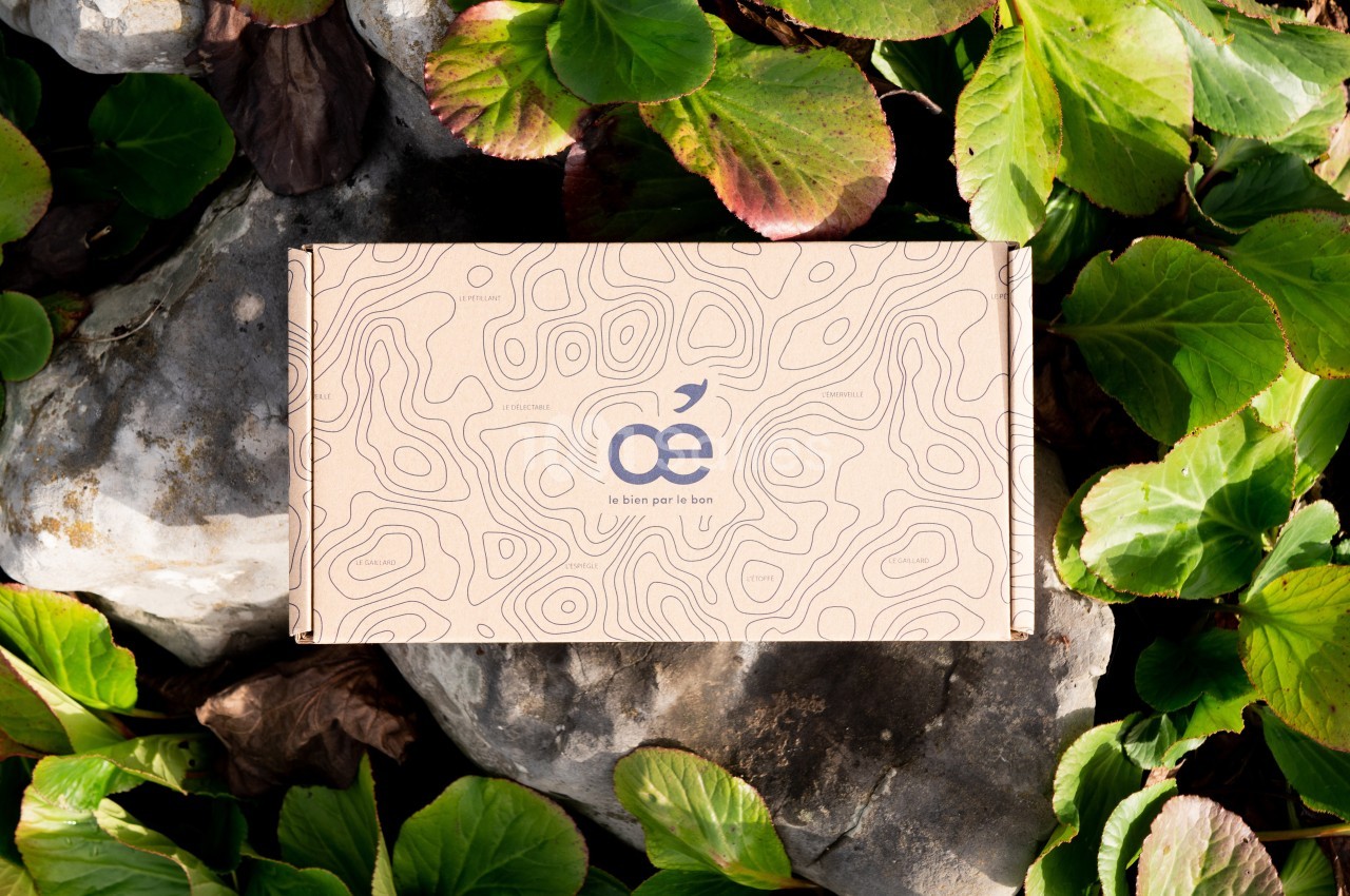 Boîte en carton avec un motif topographique, posée sur des feuilles vertes et des pierres grises.
