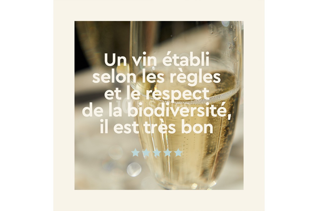 Verre de vin pétillant sur une table, avec un texte évoquant un vin respectueux de la biodiversité.