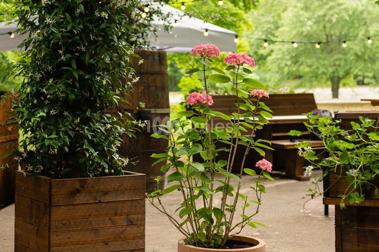 L'Orangerie - galerie - photo 48