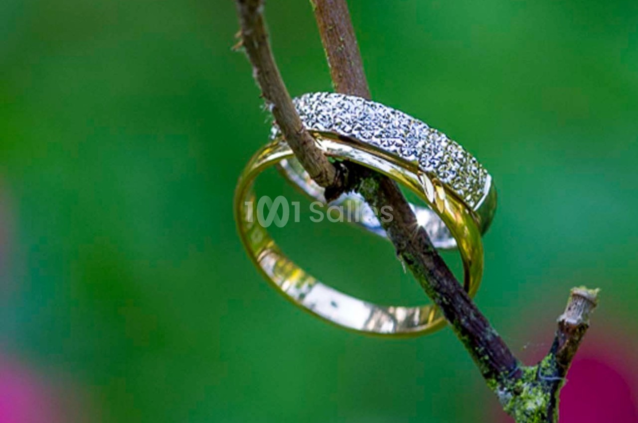 Deux alliances en or, l'une ornée de diamants, accrochées à une fine branche sur un fond flou de verdure.