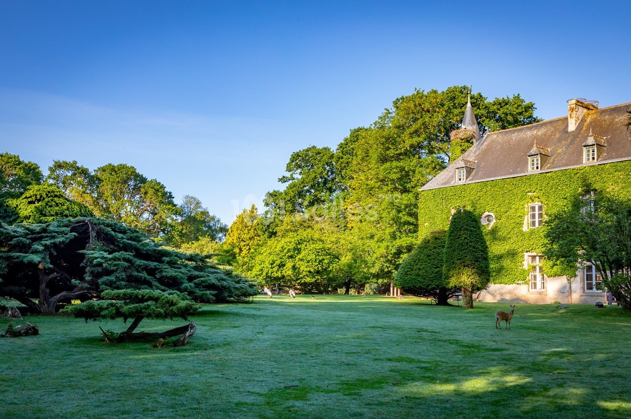 Manoir couvert de lierre entouré d'un grand jardin verdoyant avec des arbres et un cerf visible au loin.