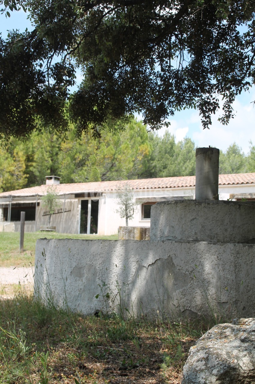 Vue d'un bâtiment rural entouré de végétation, avec un muret en béton au premier plan sous des arbres.