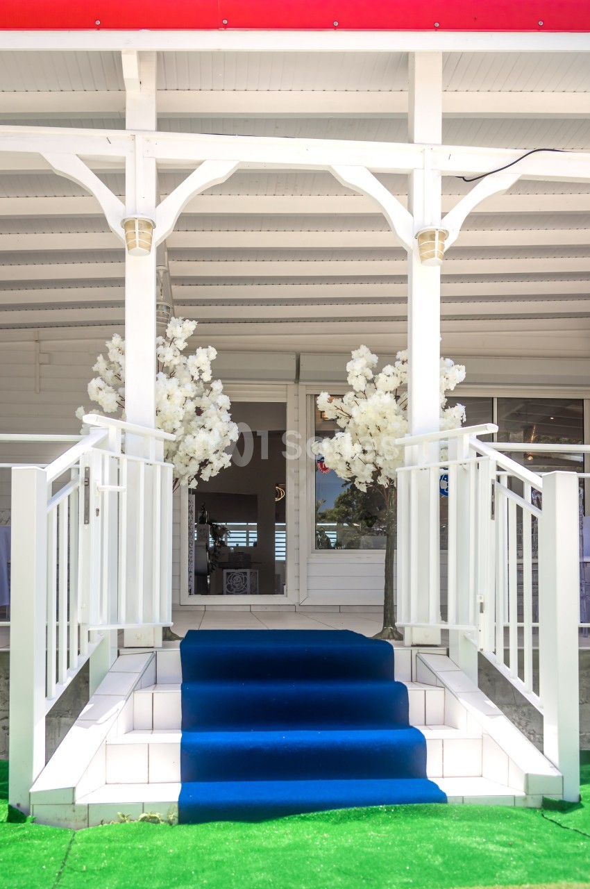 Escalier extérieur avec tapis bleu, encadré de balustrades blanches et décoré de deux arbres artificiels blancs.