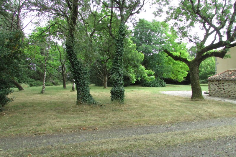 Domaine du Bois des Lys - photo 3