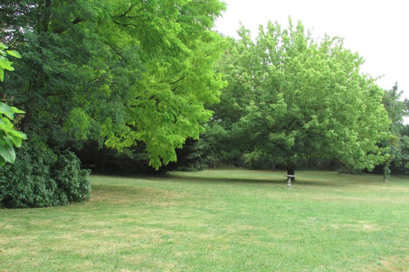 Domaine du Bois des Lys - photo 5
