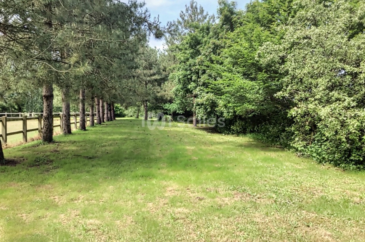 Domaine du Bois des Lys - galerie - photo 6
