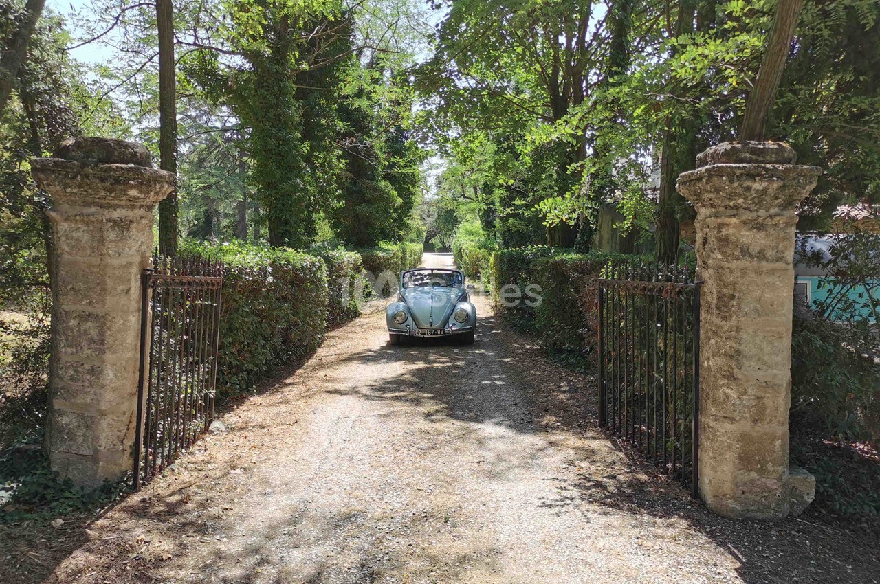 Château de Granoupiac - galerie - photo 28