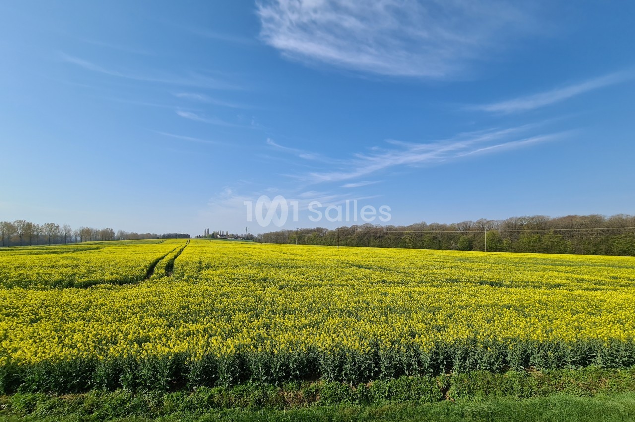 Archangele - galerie - photo 7