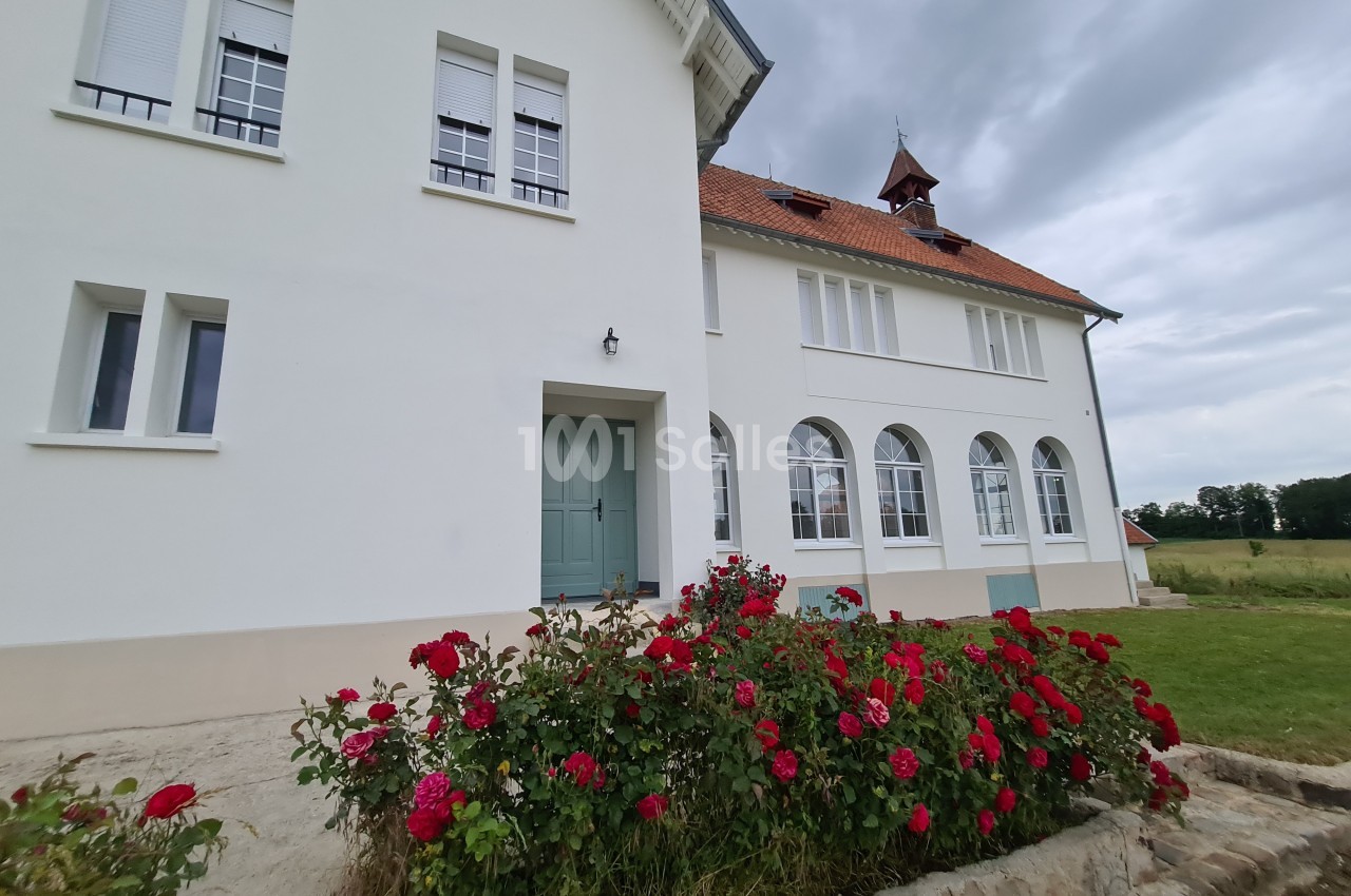 Archangele - galerie - photo 1