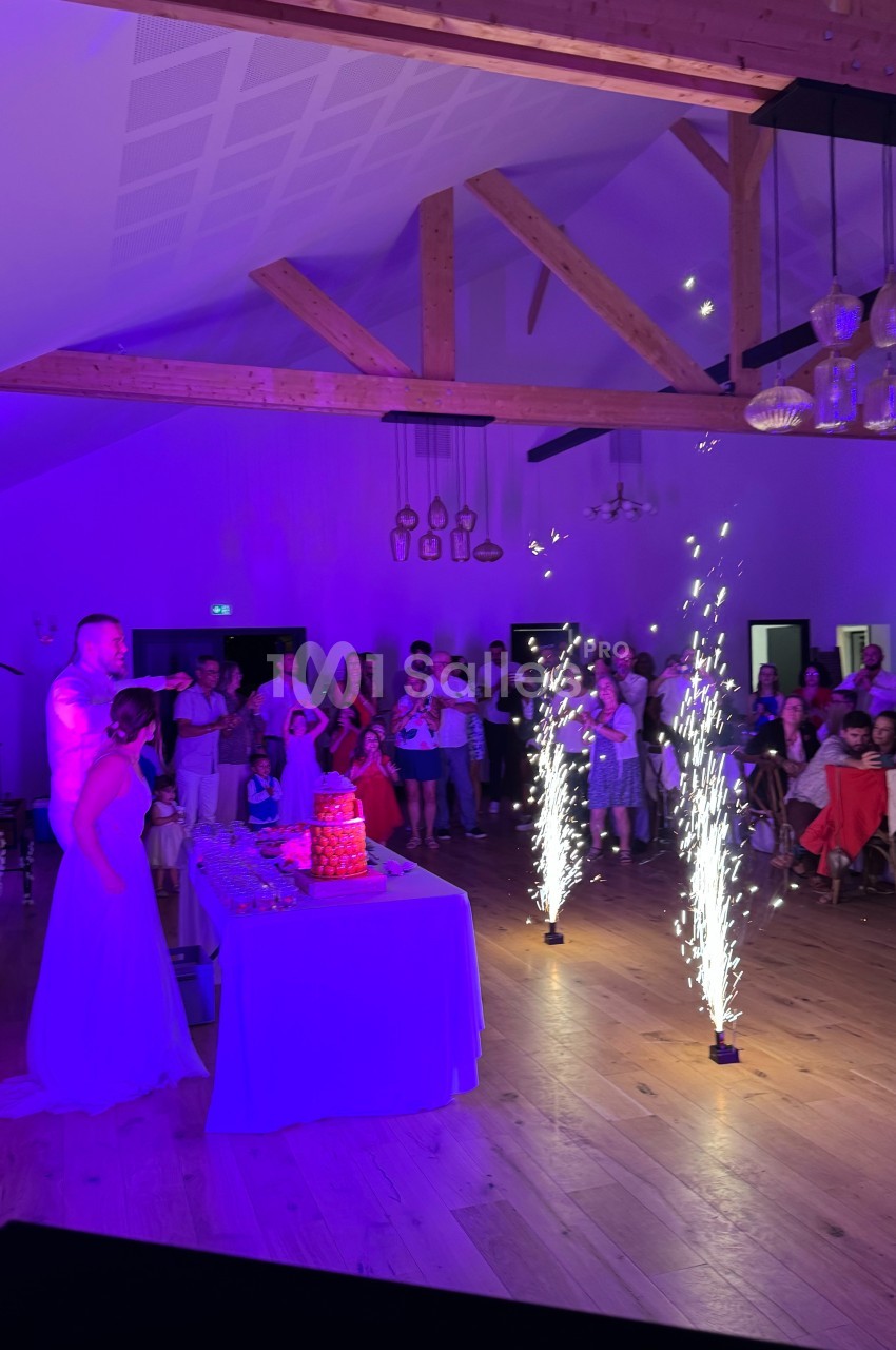 Un couple coupe un gâteau de mariage éclairé par des fontaines lumineuses, sous le regard des invités dans une salle festive.