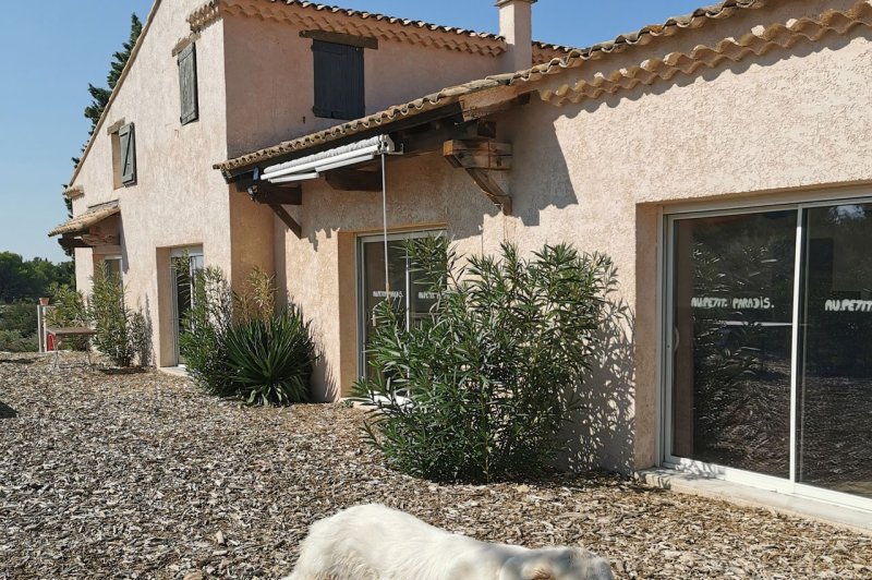 Au Petit Paradis - photo 1