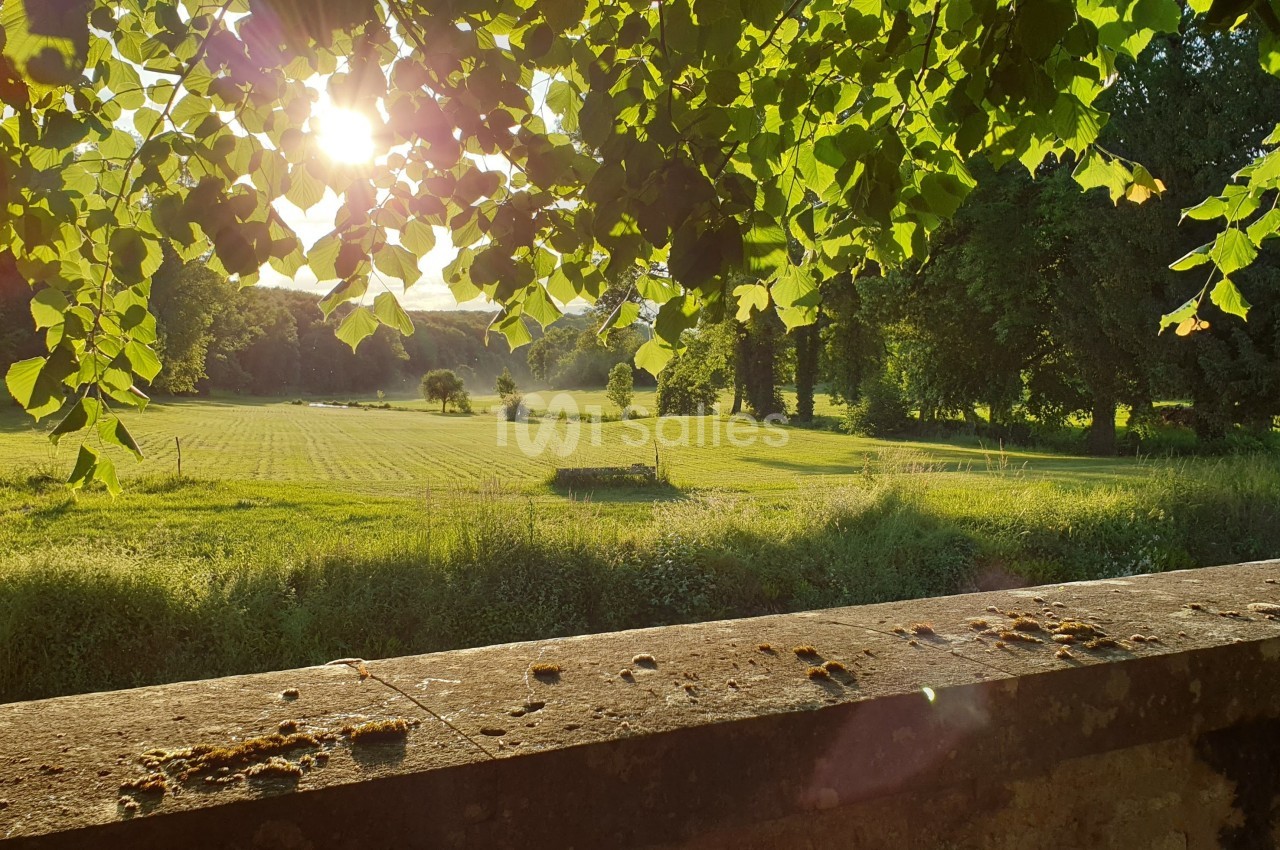 Château de Mauvilly - galerie - photo 13