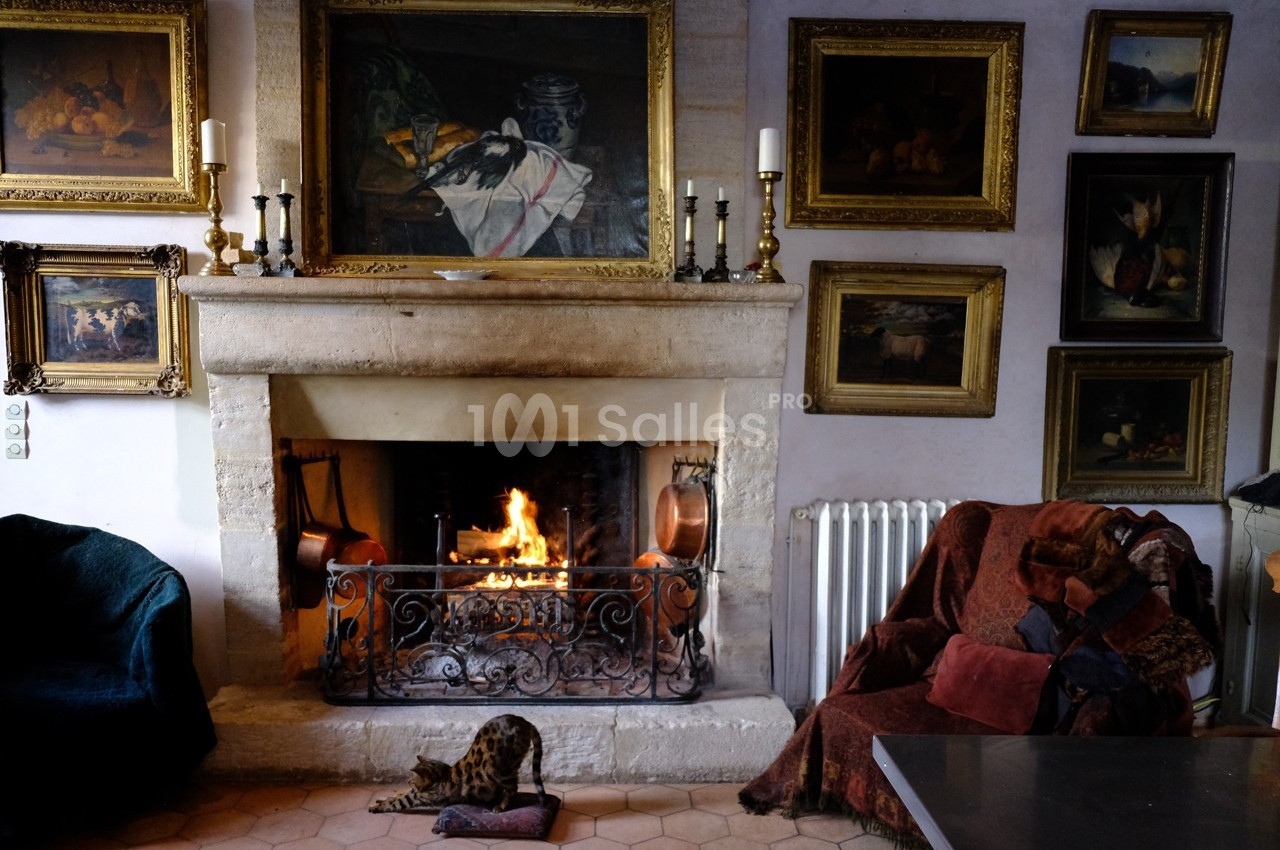 Cheminée en pierre allumée dans un salon décoré de tableaux, avec un chat allongé sur un coussin devant le feu.