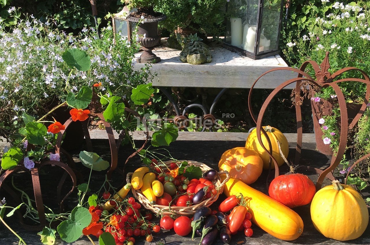 Légumes variés et fleurs disposés sur une table de jardin entourée de verdure et d'objets décoratifs.