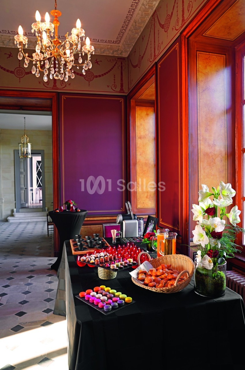 Château des deux Lions - galerie - photo 22