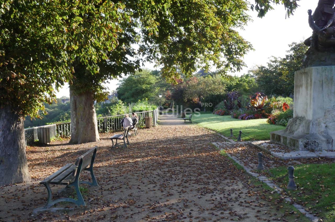 Allée ombragée avec bancs, feuilles au sol, statue et parterre fleuri dans un parc verdoyant.