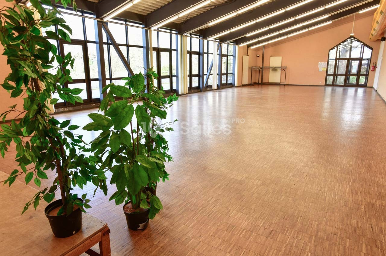 Grande salle lumineuse avec parquet, baies vitrées, poutres apparentes et deux plantes en pot au premier plan.