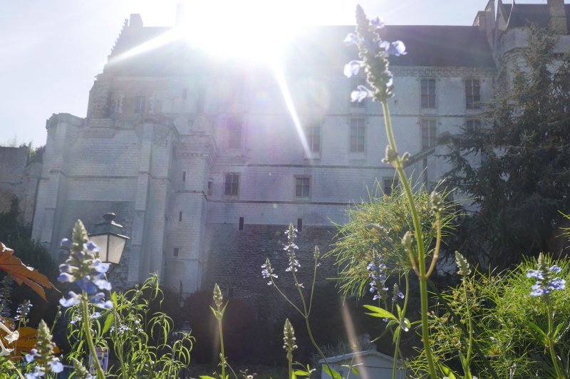 Jardin des Grands Moulins - photo 3
