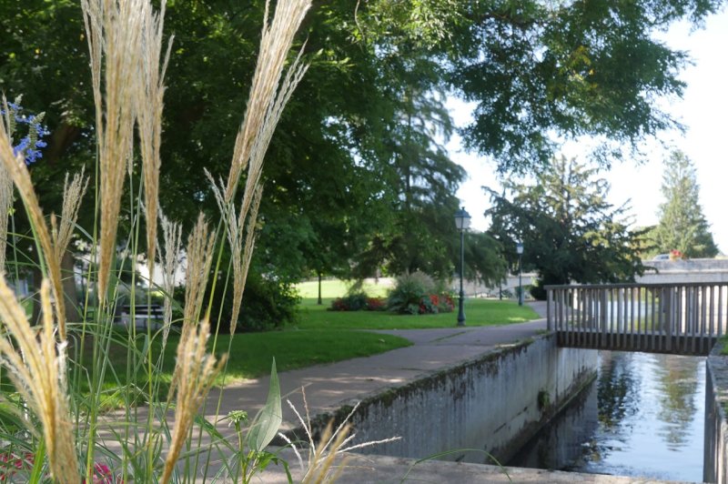 Jardin des Grands Moulins - photo 4