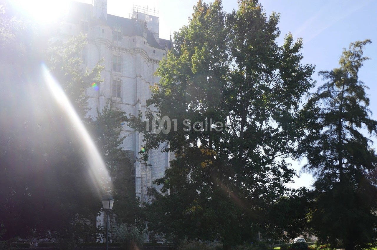 Façade d'un bâtiment historique partiellement caché par des arbres, avec une lumière solaire traversant les feuillages.