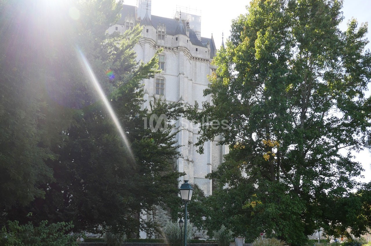 Façade d'un bâtiment historique en pierre blanche partiellement cachée par des arbres dans un jardin ensoleillé.