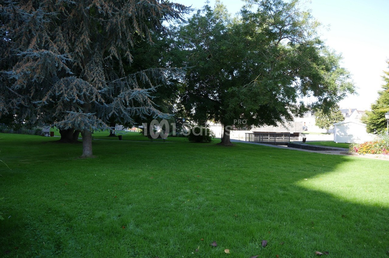 Pelouse verte entourée d'arbres avec un chemin pavé et des bâtiments en arrière-plan sous un ciel dégagé.