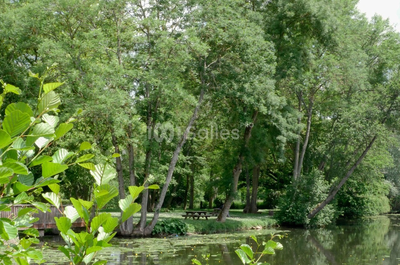 Vue d'un parc arboré avec une rivière calme au premier plan et une table de pique-nique sous les arbres.