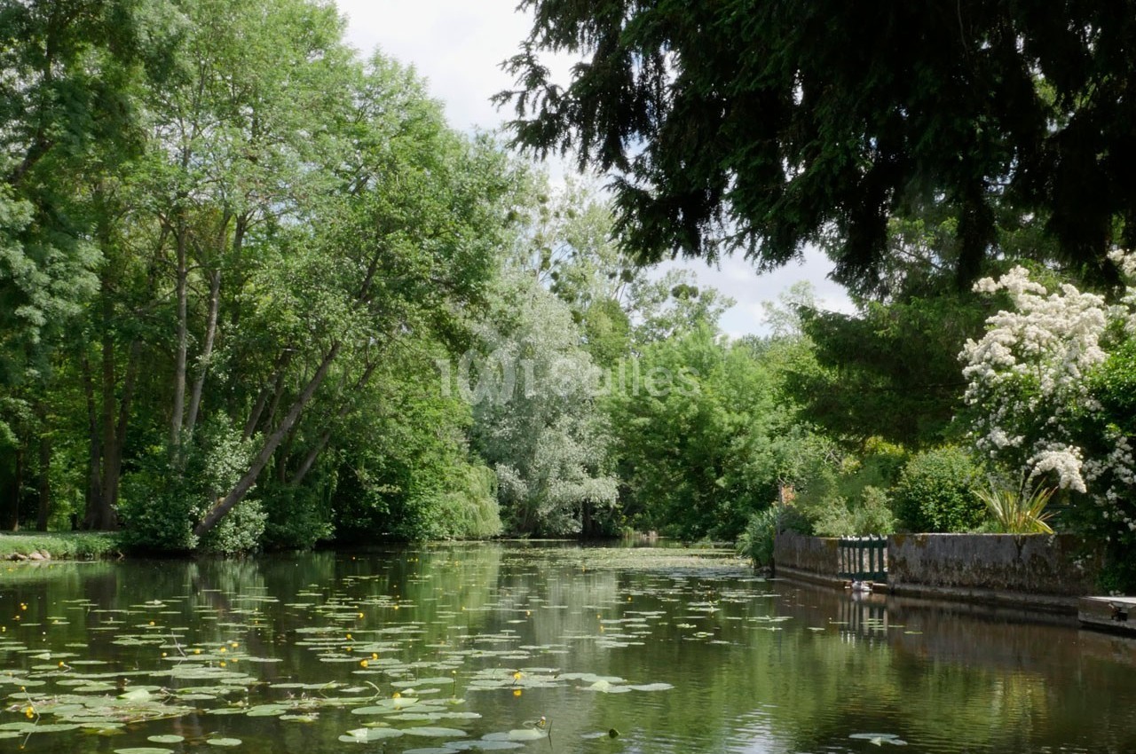 Étang bordé d'arbres avec des nénuphars à la surface et un petit pont en pierre sur la droite.
