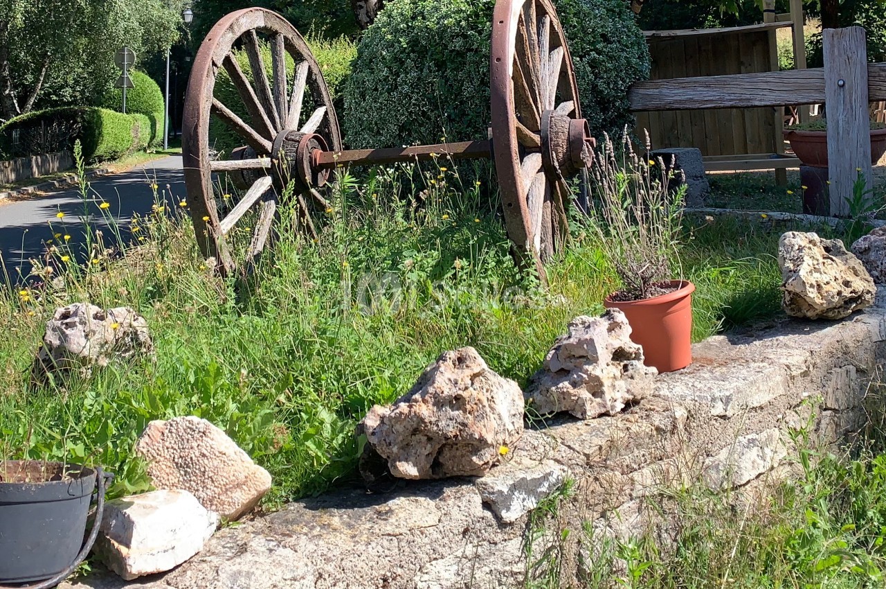 Domaine le Colombié - galerie - photo 6