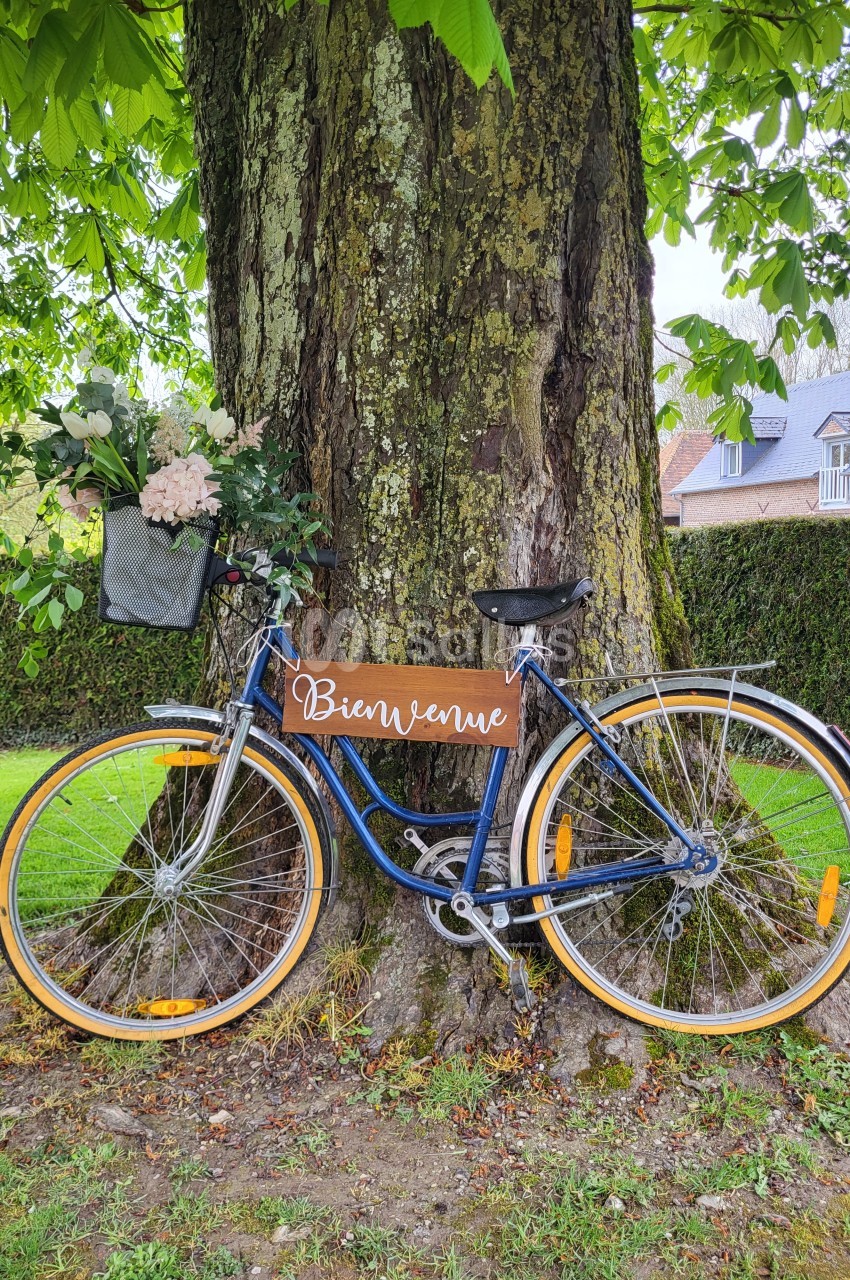 Vélo bleu appuyé contre un arbre, avec un panneau ’Bienvenue’ et un panier rempli de fleurs.