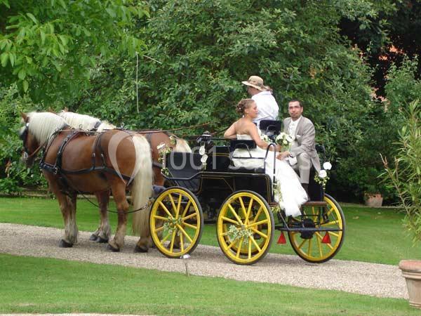 Un couple en tenue de mariage est assis dans une calèche tirée par deux chevaux sur un chemin bordé de verdure.