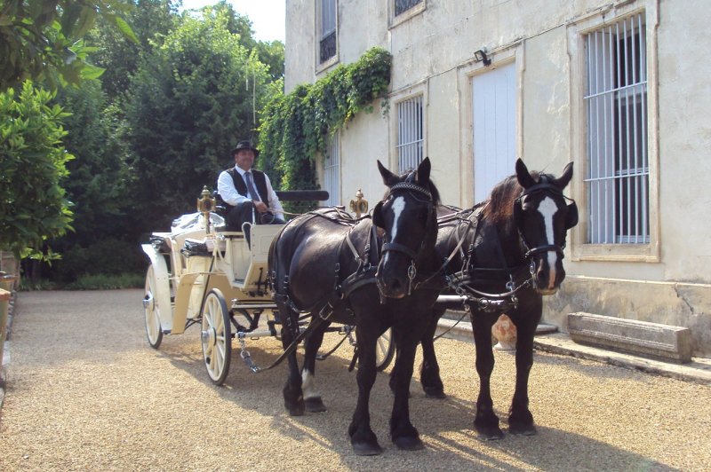 Château de Lacoste - photo 2
