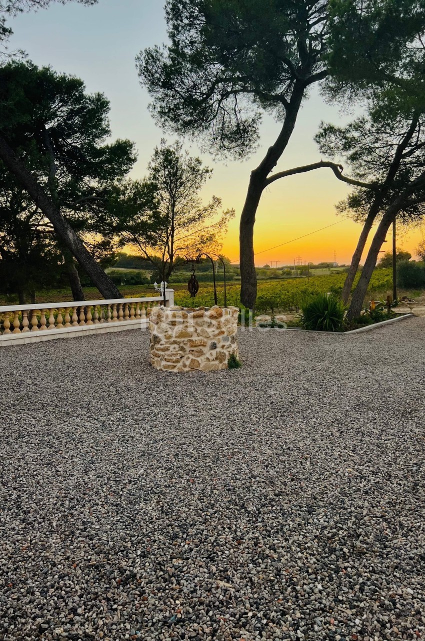 Domaine des Hautes Vignes - galerie - photo 34