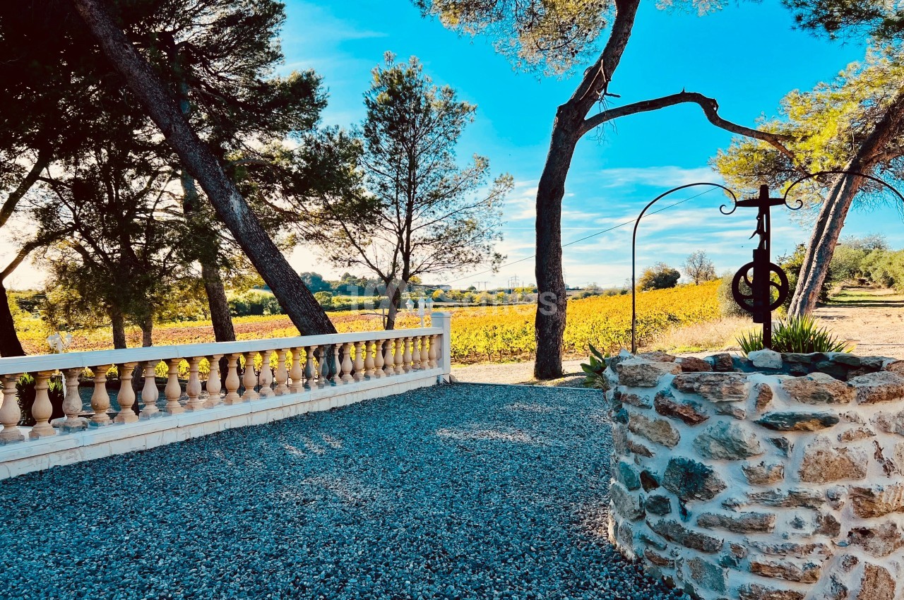 Domaine des Hautes Vignes - galerie - photo 35