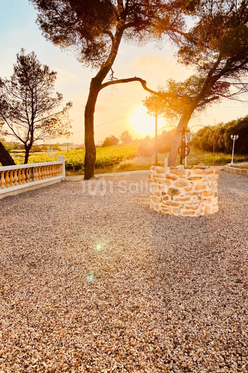 Domaine des Hautes Vignes - galerie - photo 37