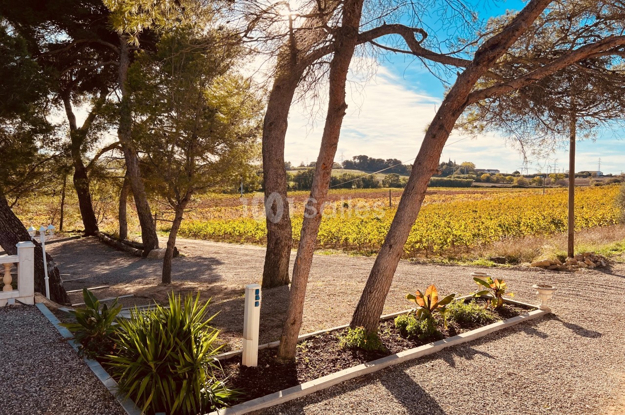 Domaine des Hautes Vignes - galerie - photo 38