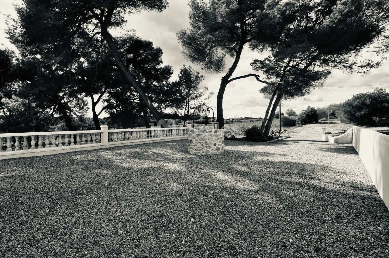 Domaine des Hautes Vignes - galerie - photo 39