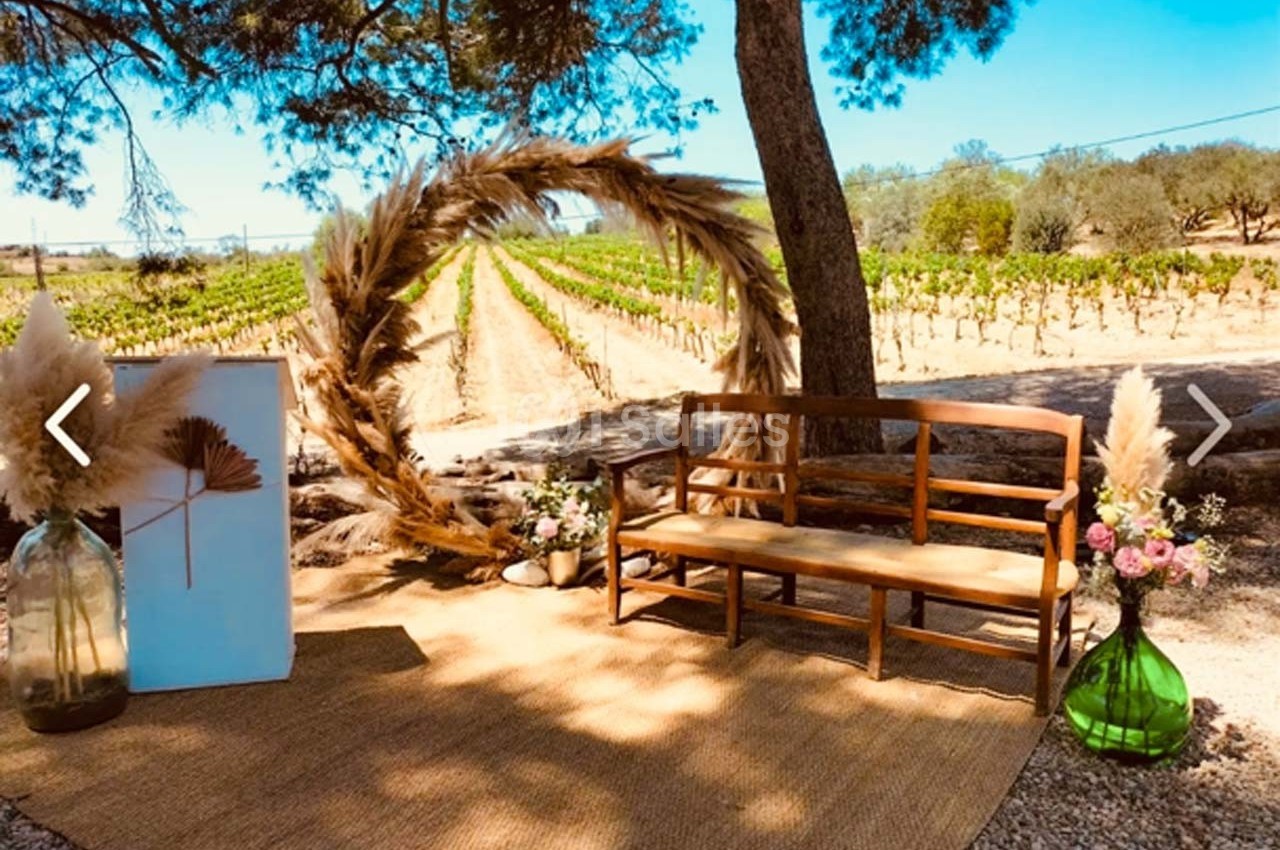 Domaine des Hautes Vignes - galerie - photo 50