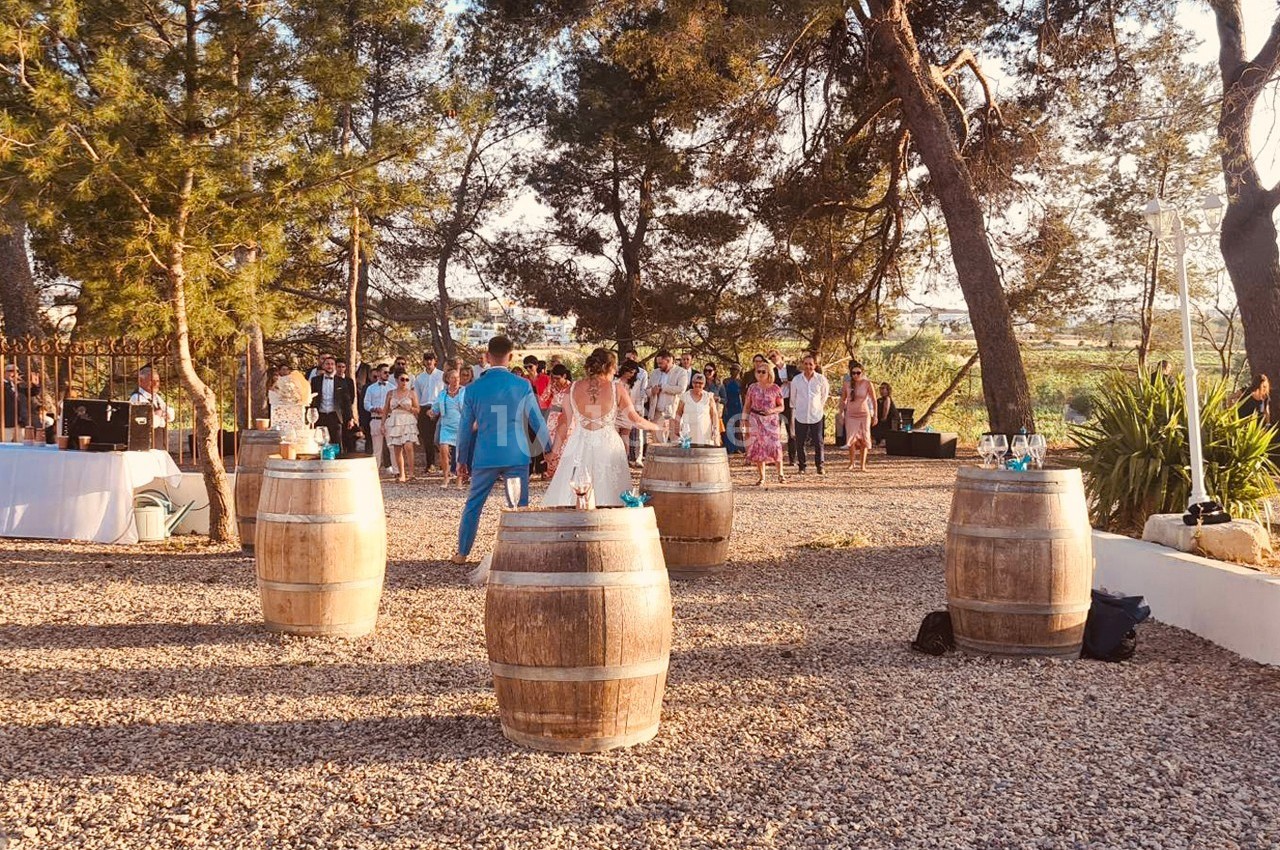 Domaine des Hautes Vignes - galerie - photo 58