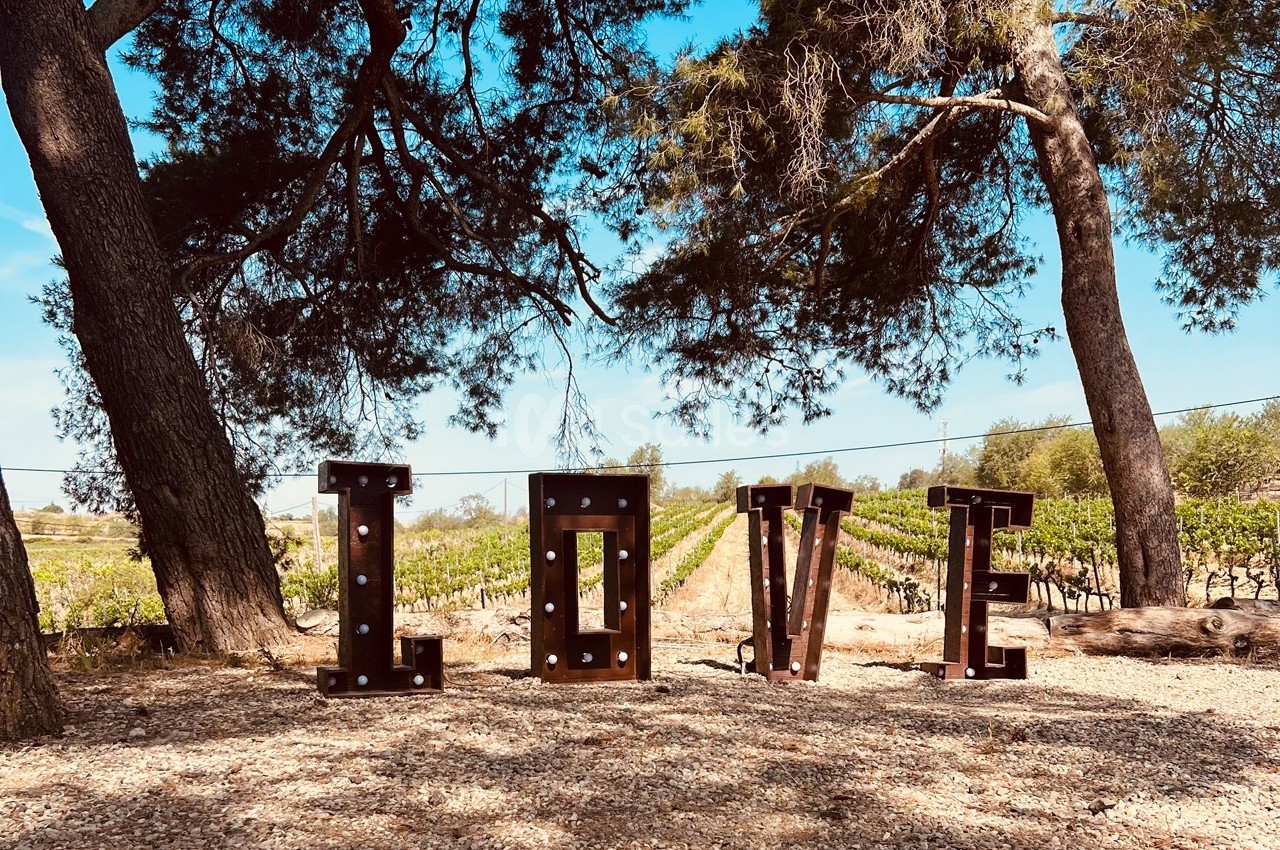 Domaine des Hautes Vignes - galerie - photo 60