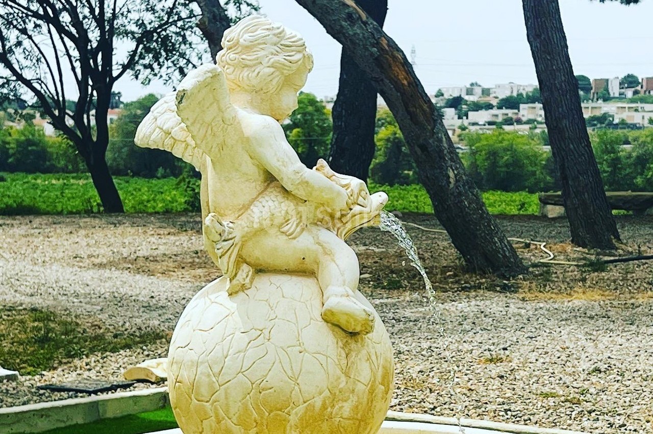 Domaine des Hautes Vignes - galerie - photo 62