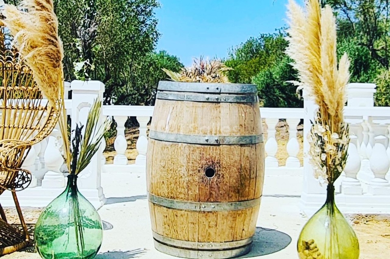 Domaine des Hautes Vignes - galerie - photo 66