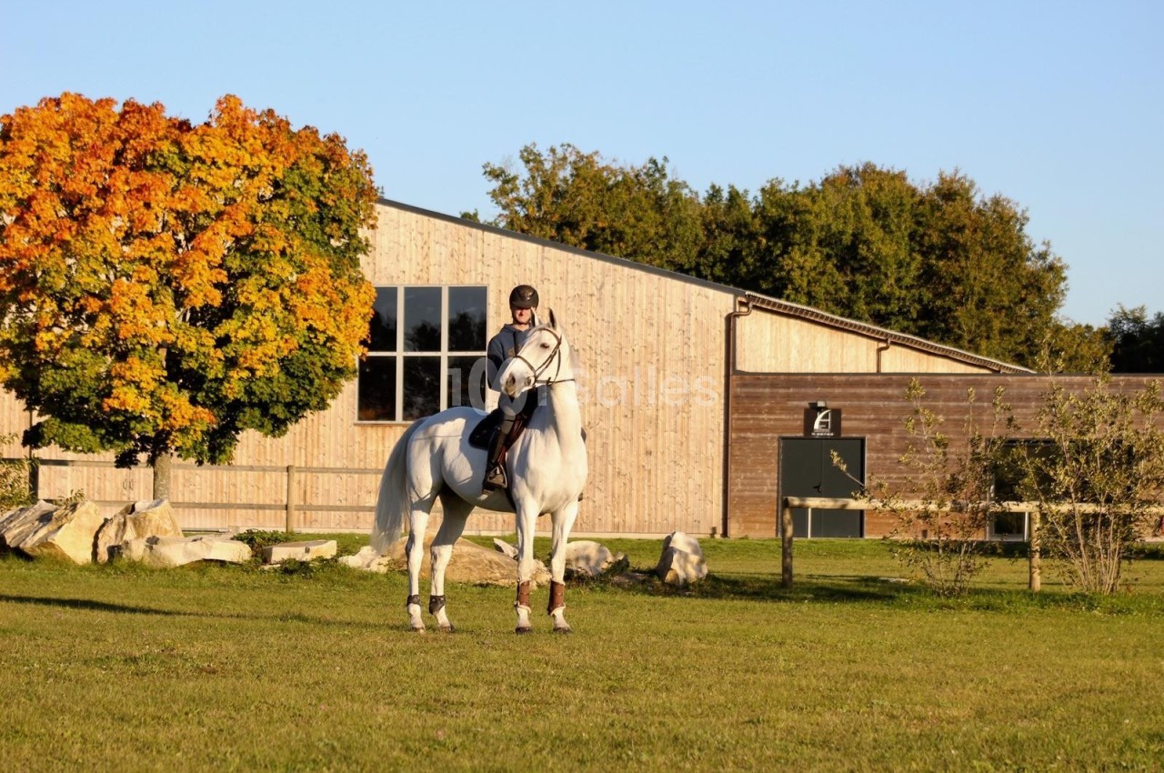 Une cavalière monte un cheval blanc dans un pré, devant un bâtiment en bois et un arbre aux feuilles colorées d'automne.