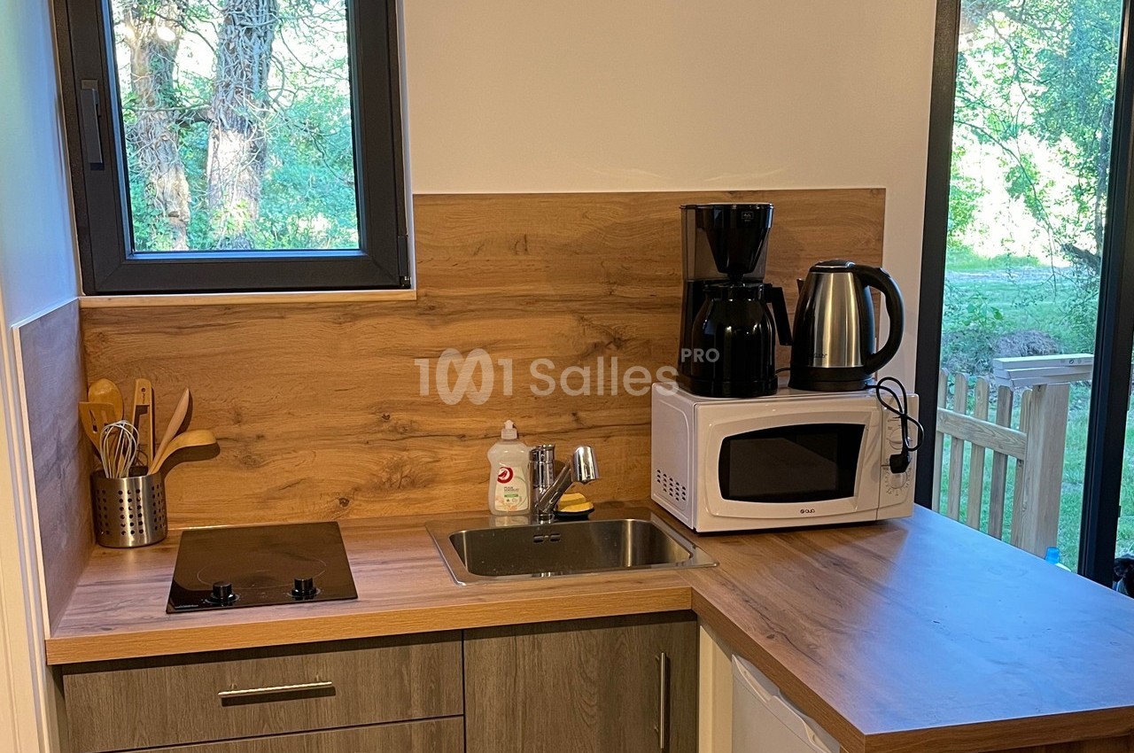 Cuisine compacte avec évier, plaque de cuisson, micro-ondes, cafetière et bouilloire, vue sur un jardin par la fenêtre.